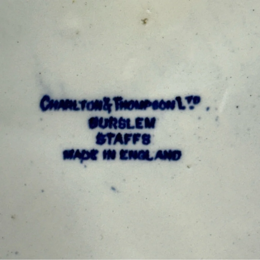 Vintage Charleton and Thompson Ltd English Blue Willow 10” Grill Plate Dish